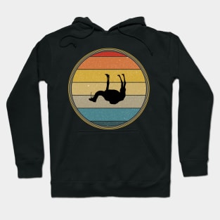 Vintage Retro Sunset Funny Upside Down Camel Hoodie